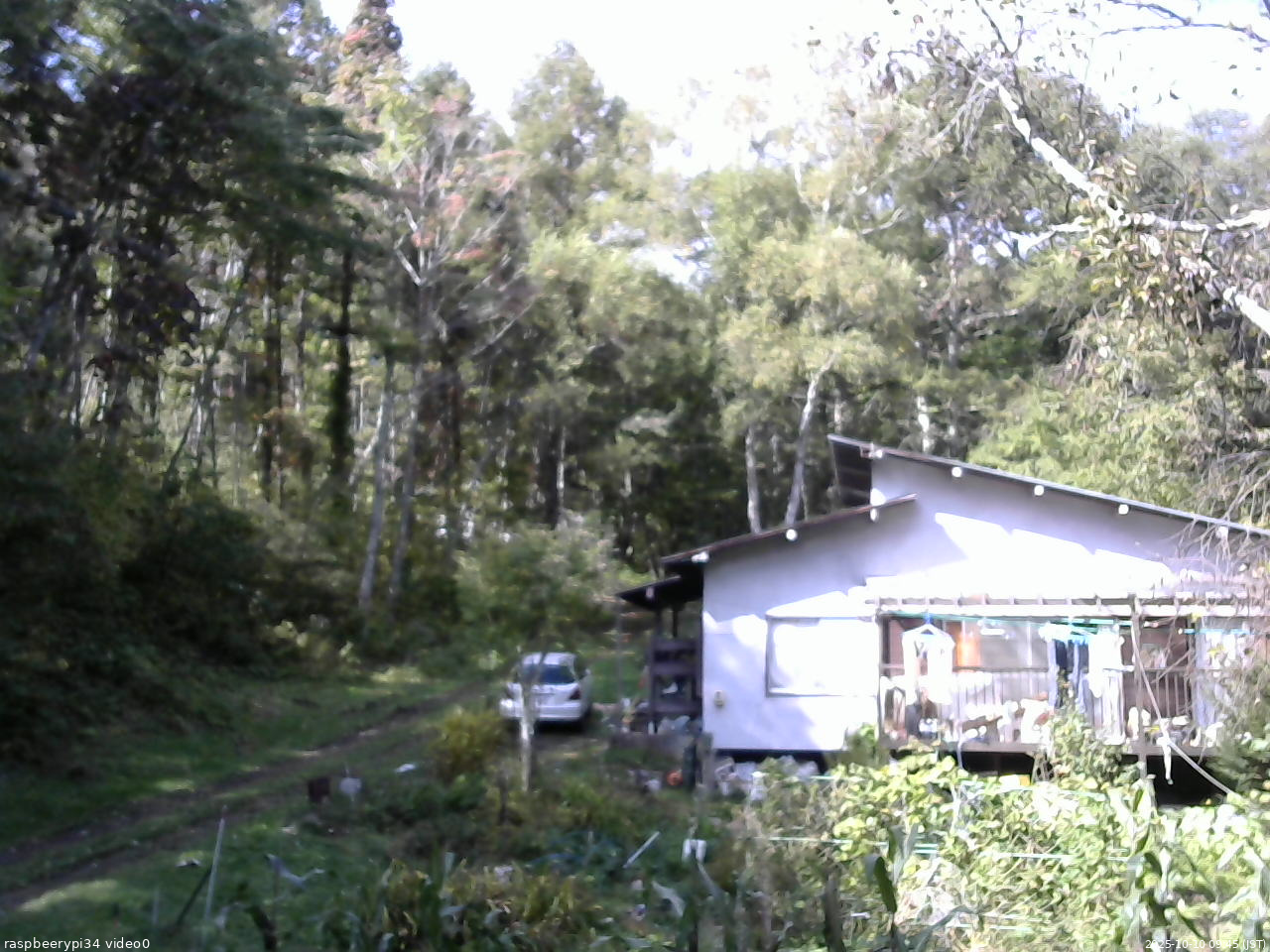 長野県菅平高原 ゆたか山荘 西側(坂上) 2025/10/10 09:45