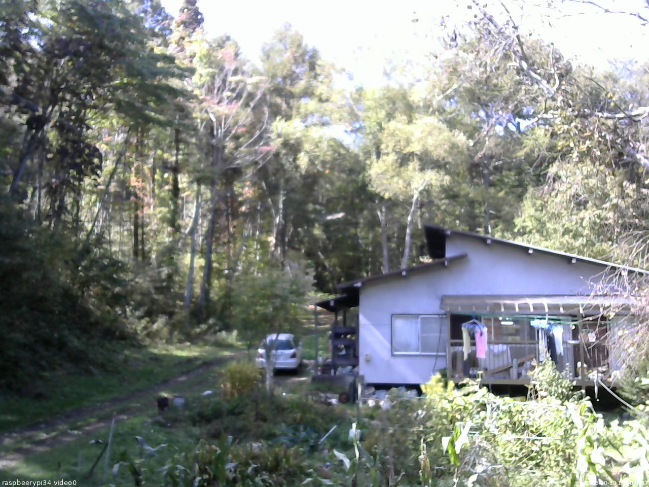 長野県菅平高原 ゆたか山荘 西側(坂上) 2025/10/10 11:00