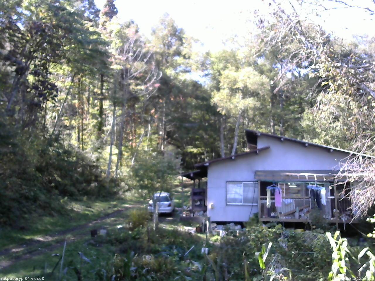 長野県菅平高原 ゆたか山荘 西側(坂上) 2025/10/10 12:00