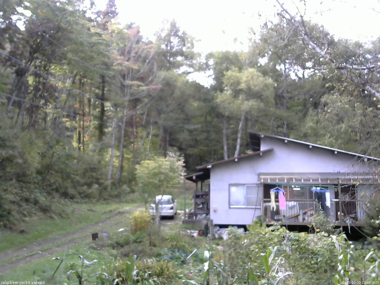 長野県菅平高原 ゆたか山荘 西側(坂上) 2025/10/10 12:45
