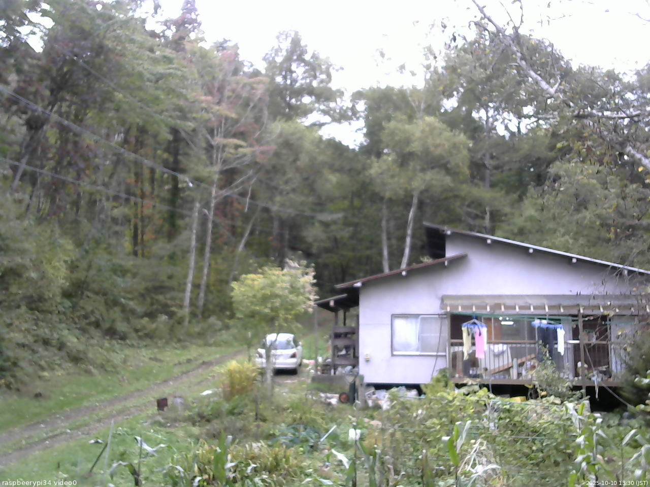 長野県菅平高原 ゆたか山荘 西側(坂上) 2025/10/10 13:30