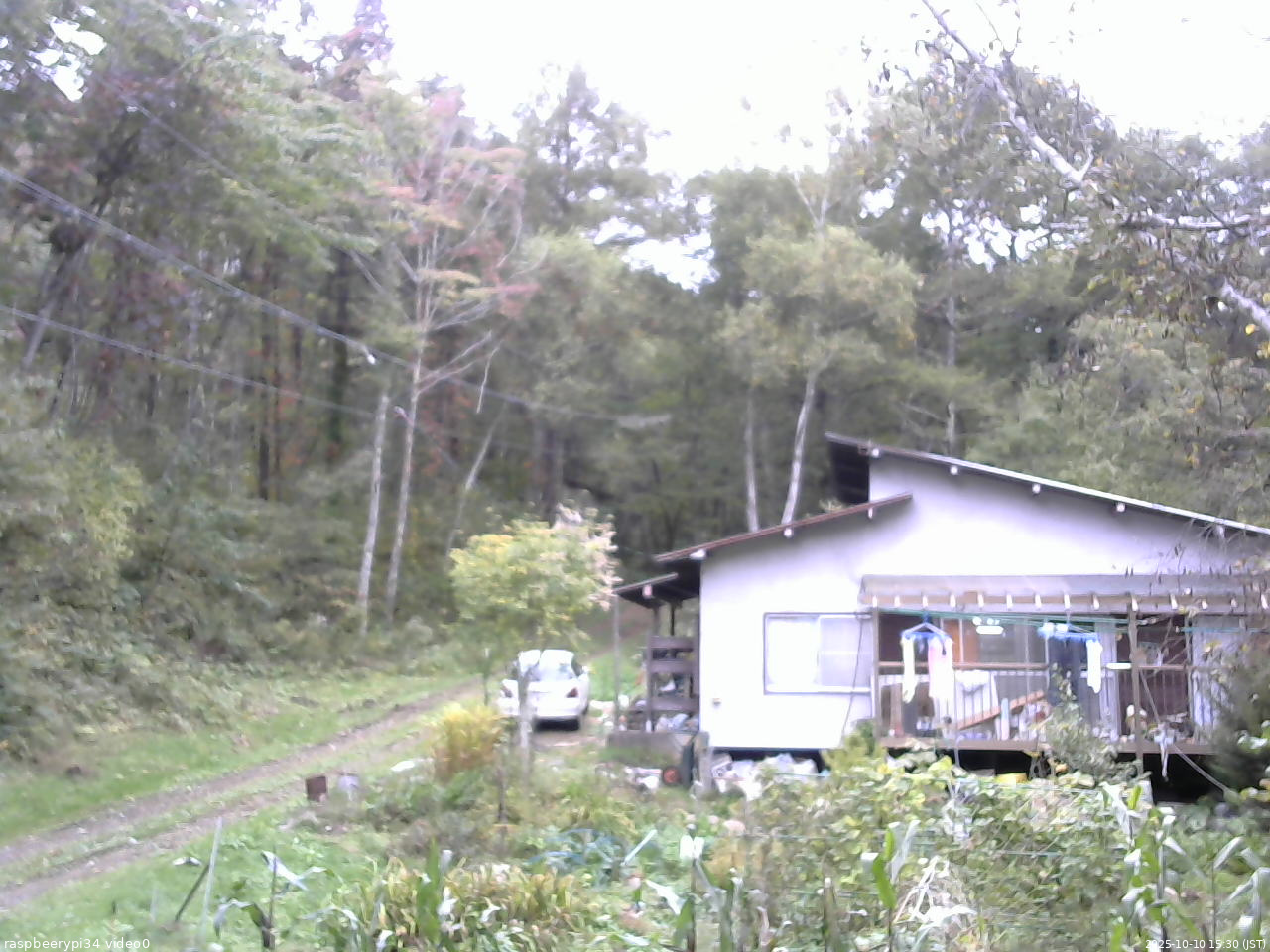 長野県菅平高原 ゆたか山荘 西側(坂上) 2025/10/10 15:30
