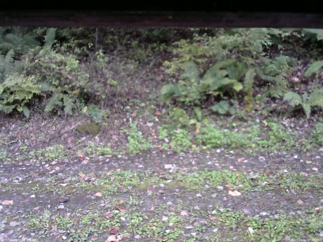 長野県菅平高原 ゆたか山荘 南側 2025/10/11 07:00