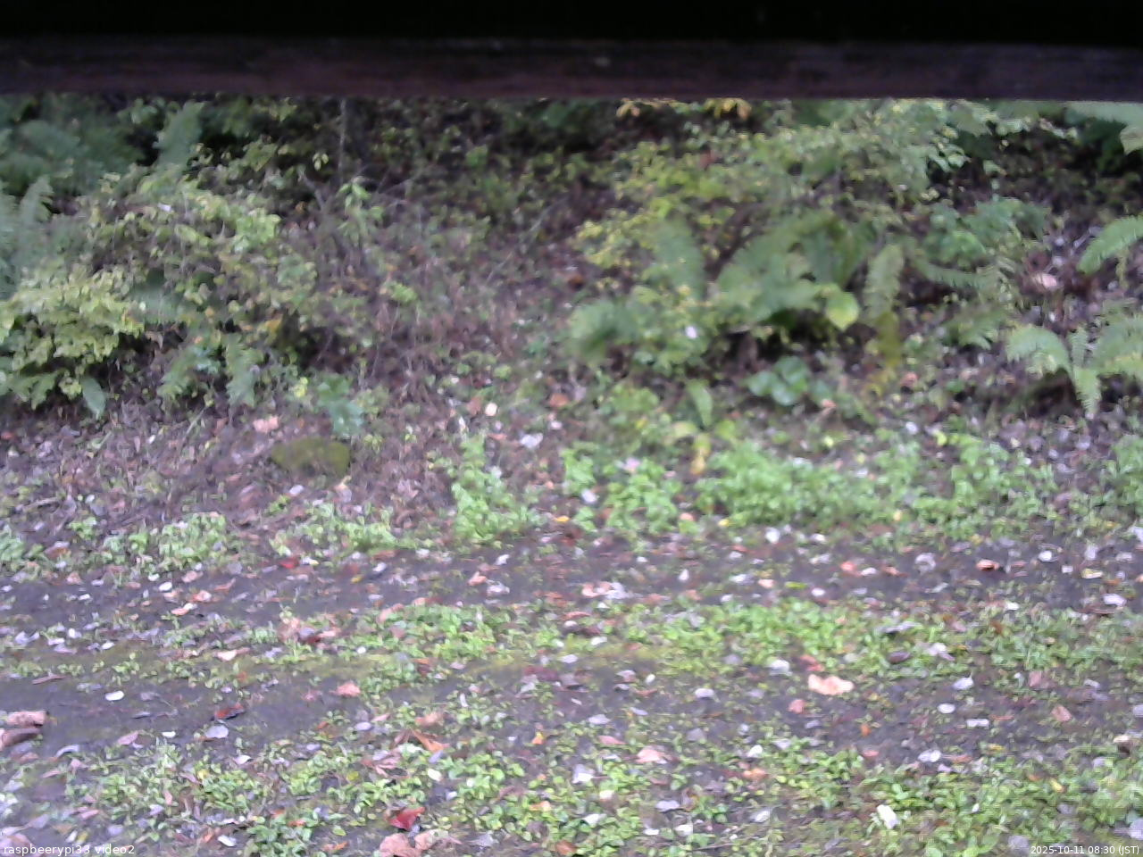 長野県菅平高原 ゆたか山荘 南側 2025/10/11 08:30