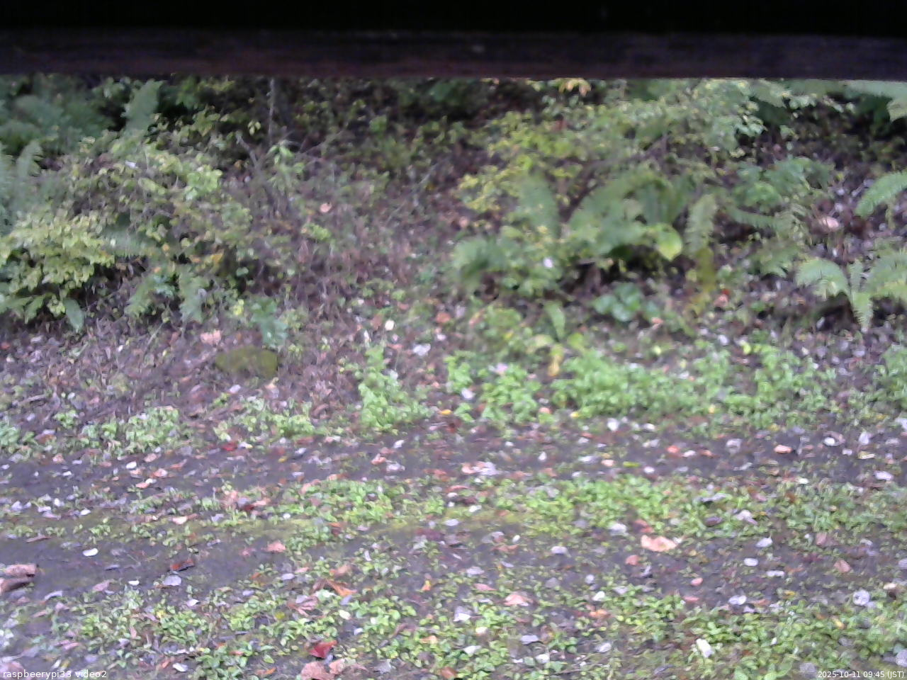 長野県菅平高原 ゆたか山荘 南側 2025/10/11 09:45