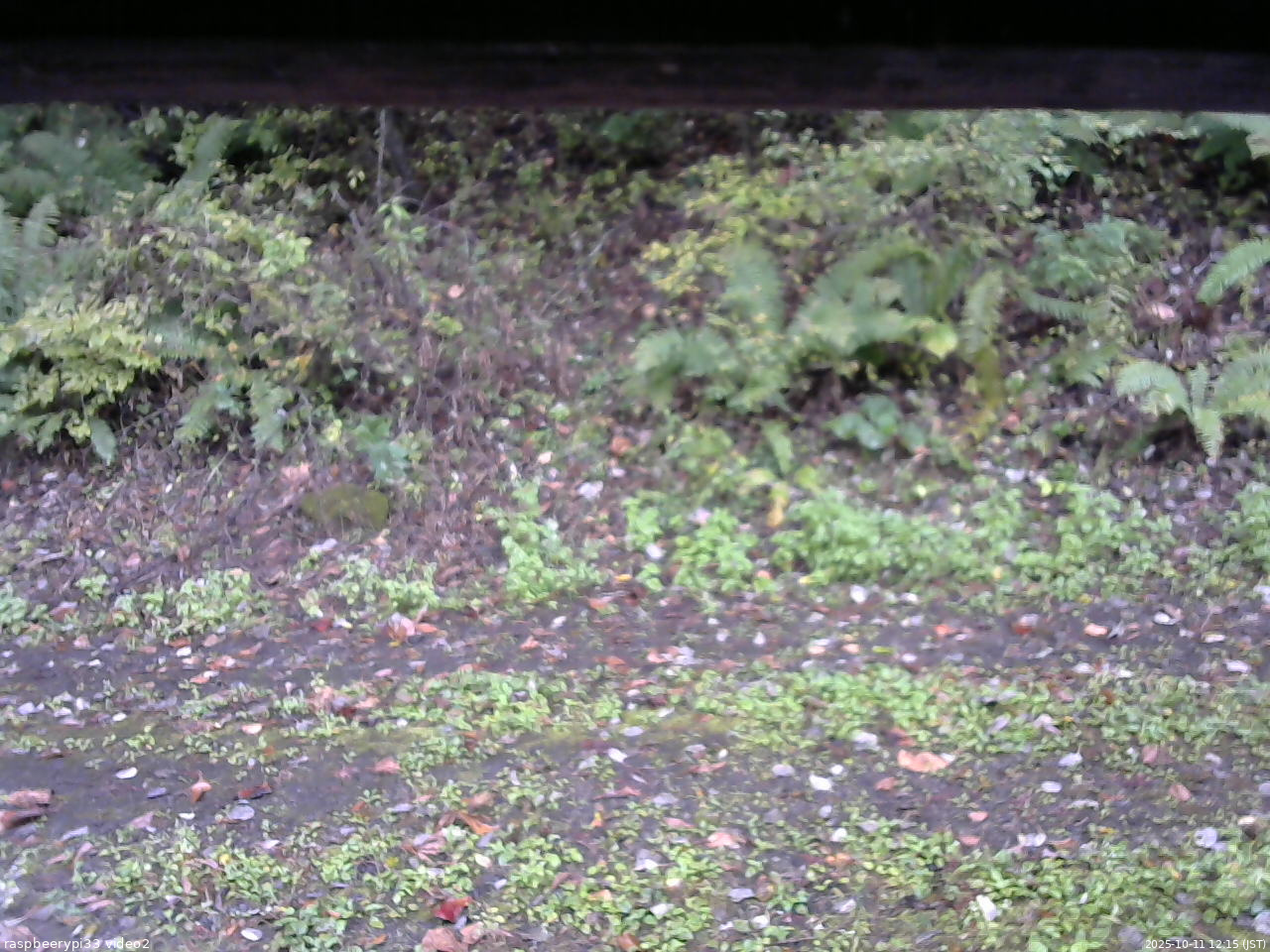 長野県菅平高原 ゆたか山荘 南側 2025/10/11 12:15