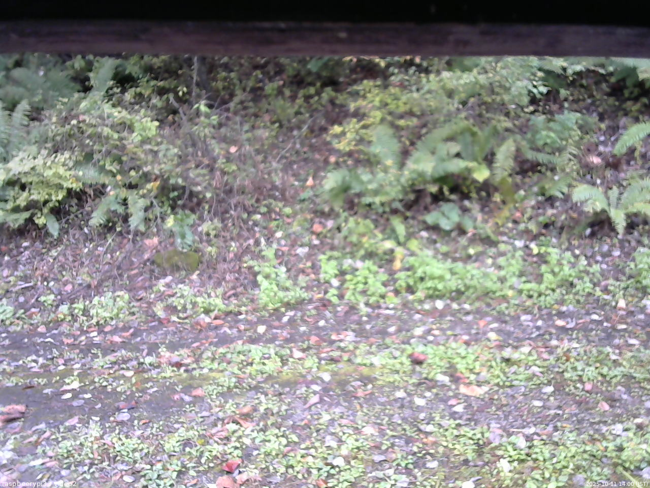 長野県菅平高原 ゆたか山荘 南側 2025/10/11 14:00