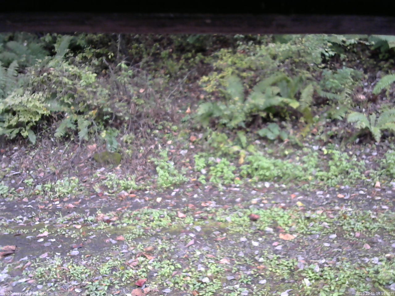 長野県菅平高原 ゆたか山荘 南側 2025/10/11 14:15