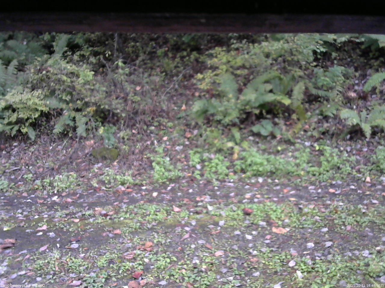 長野県菅平高原 ゆたか山荘 南側 2025/10/11 16:45