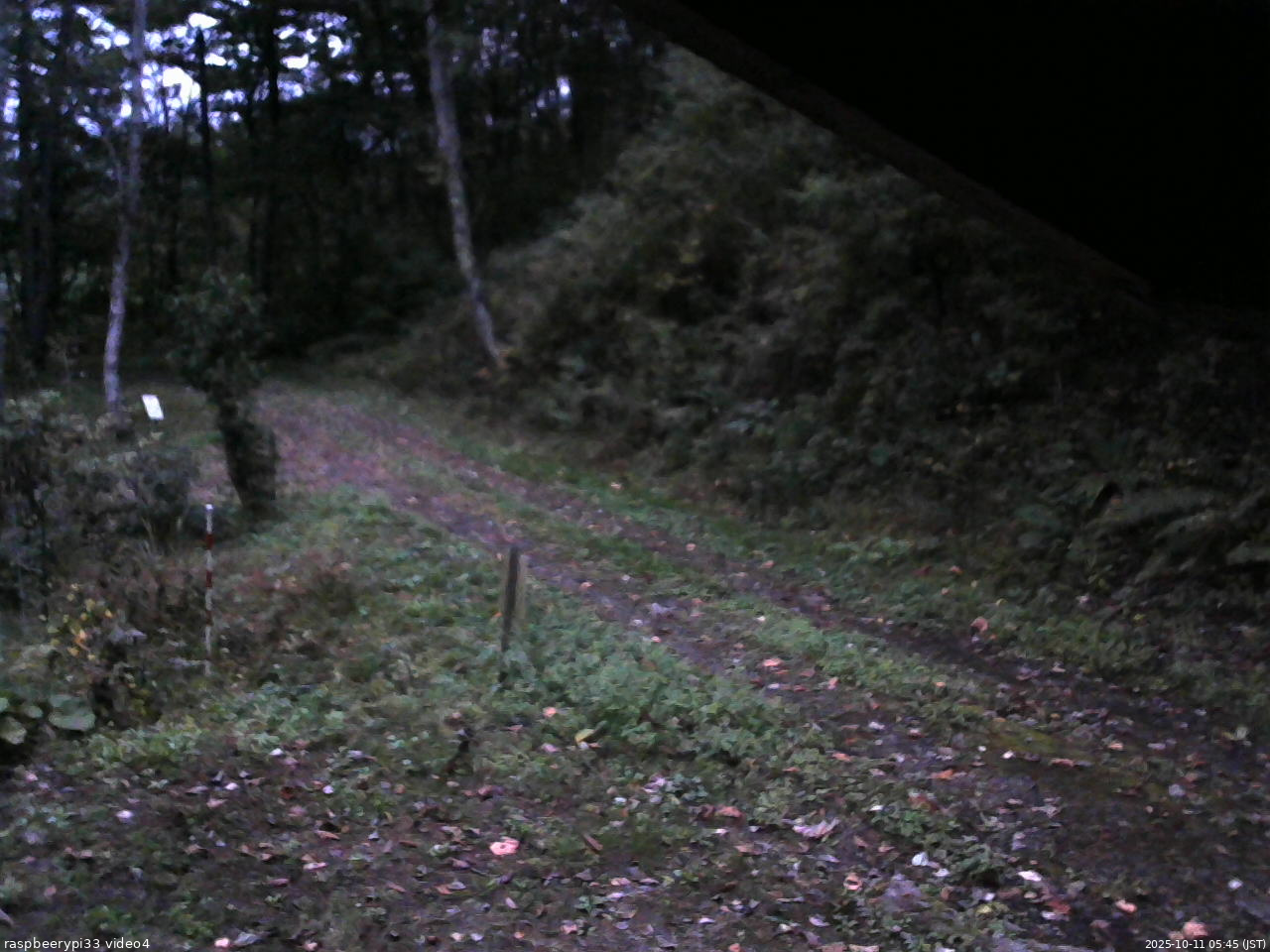 長野県菅平高原 ゆたか山荘 東側(坂下) 2025/10/11 05:45