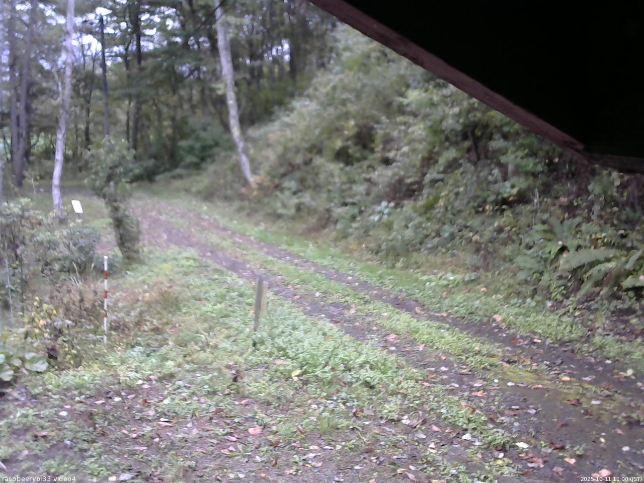 長野県菅平高原 ゆたか山荘 東側(坂下) 2025/10/11 11:00