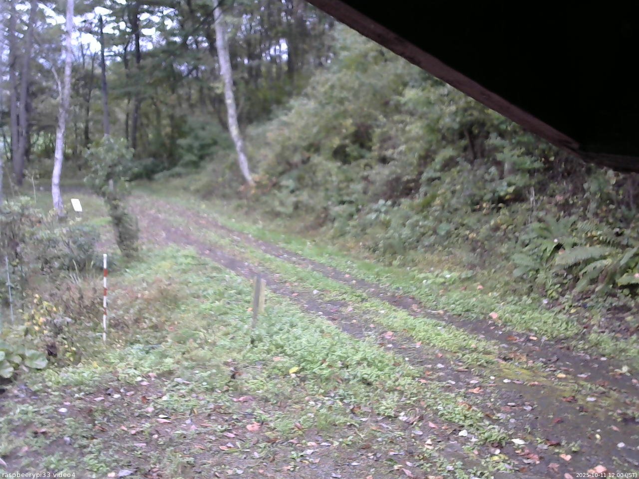 長野県菅平高原 ゆたか山荘 東側(坂下) 2025/10/11 12:00