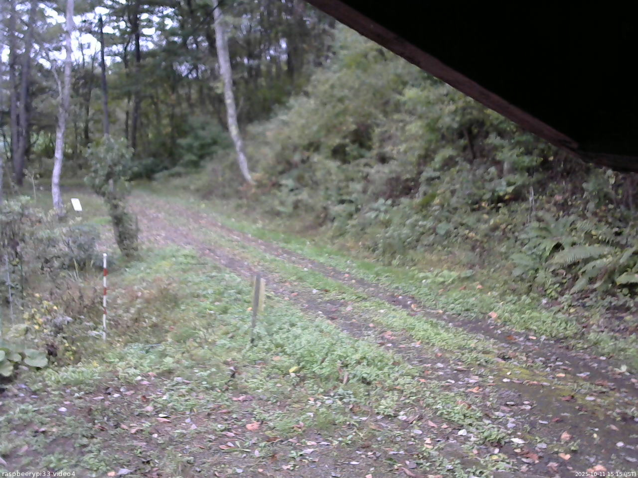 長野県菅平高原 ゆたか山荘 東側(坂下) 2025/10/11 15:15