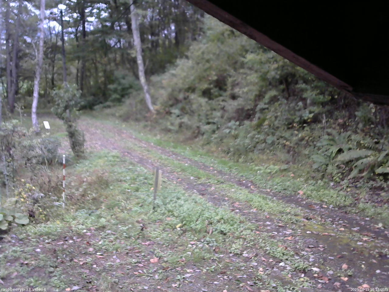 長野県菅平高原 ゆたか山荘 東側(坂下) 2025/10/11 16:15