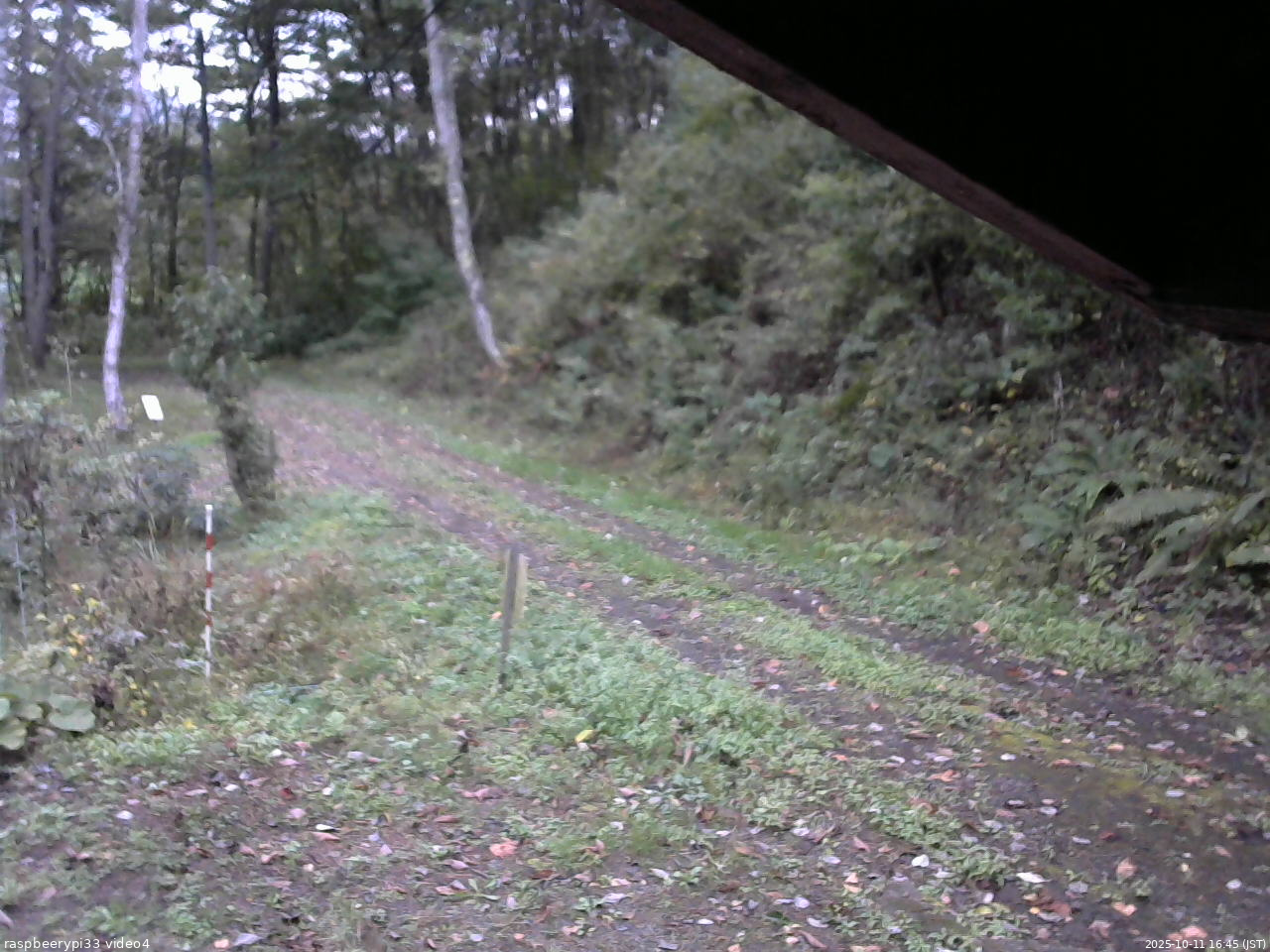 長野県菅平高原 ゆたか山荘 東側(坂下) 2025/10/11 16:45
