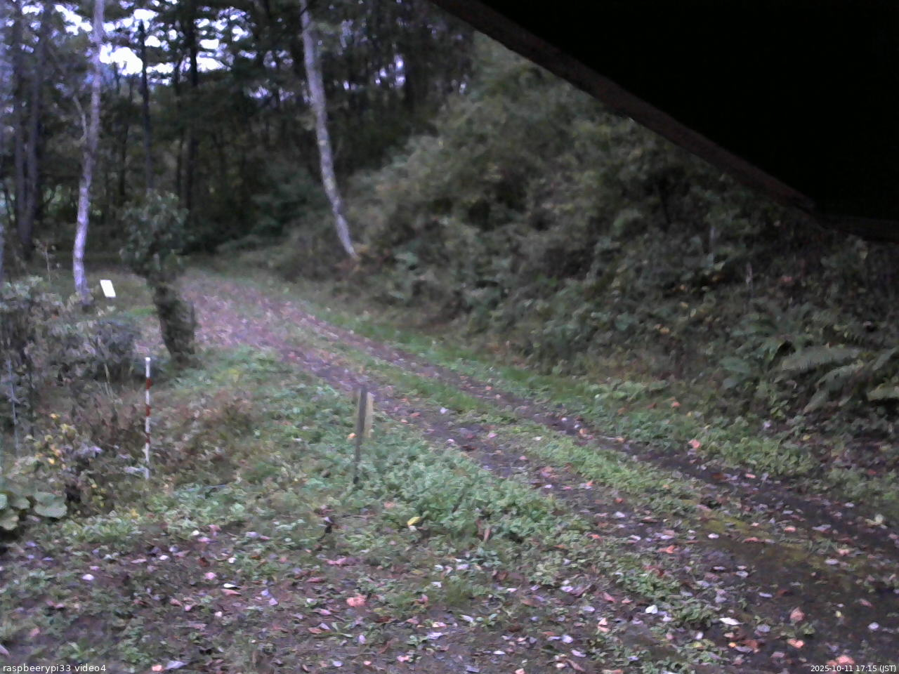 長野県菅平高原 ゆたか山荘 東側(坂下) 2025/10/11 17:15