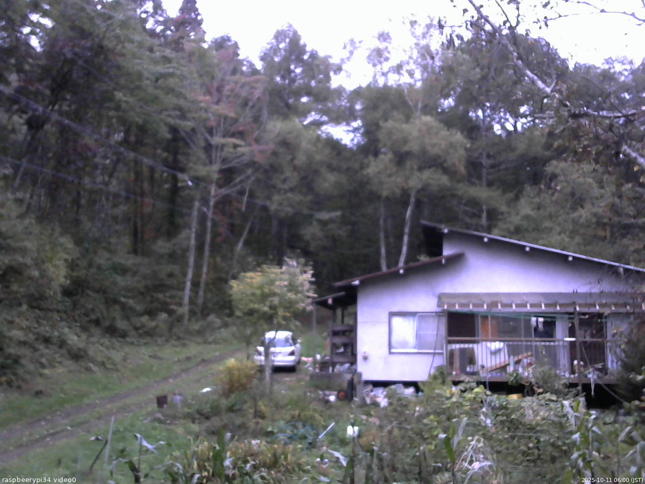 長野県菅平高原 ゆたか山荘 西側(坂上) 2025/10/11 06:00