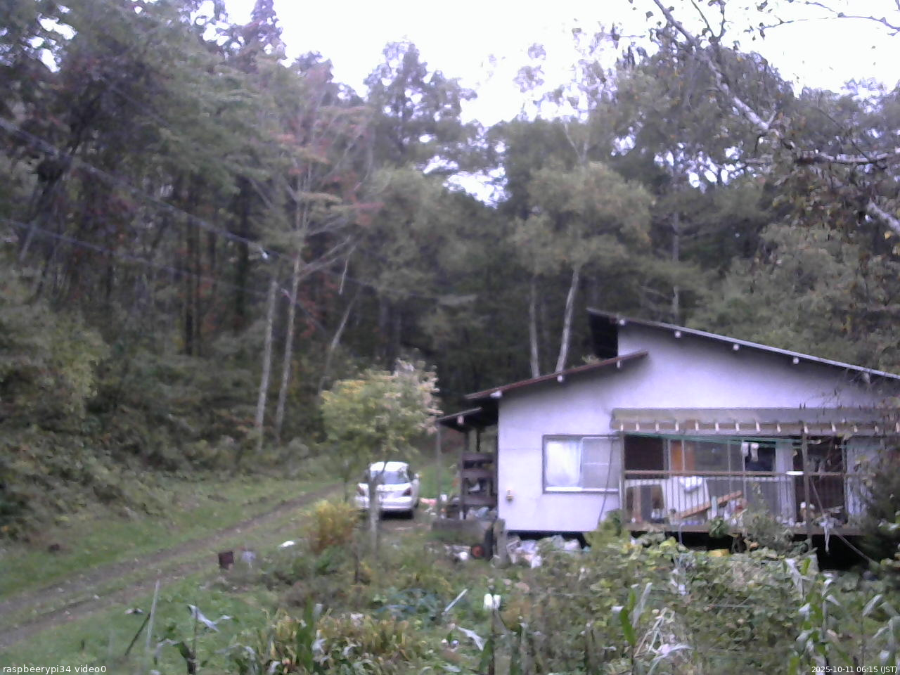 長野県菅平高原 ゆたか山荘 西側(坂上) 2025/10/11 06:15