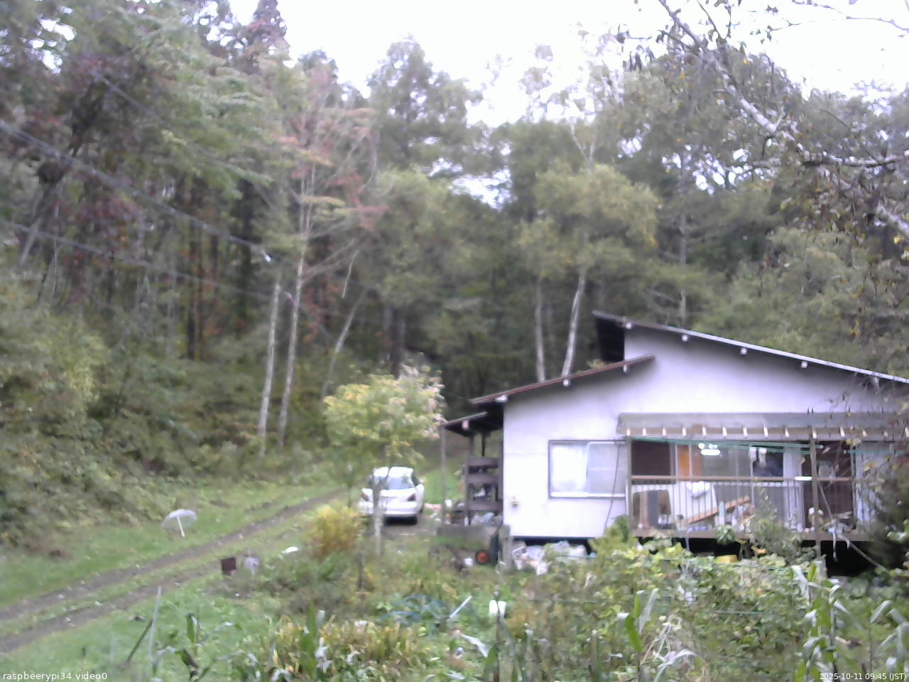 長野県菅平高原 ゆたか山荘 西側(坂上) 2025/10/11 09:45
