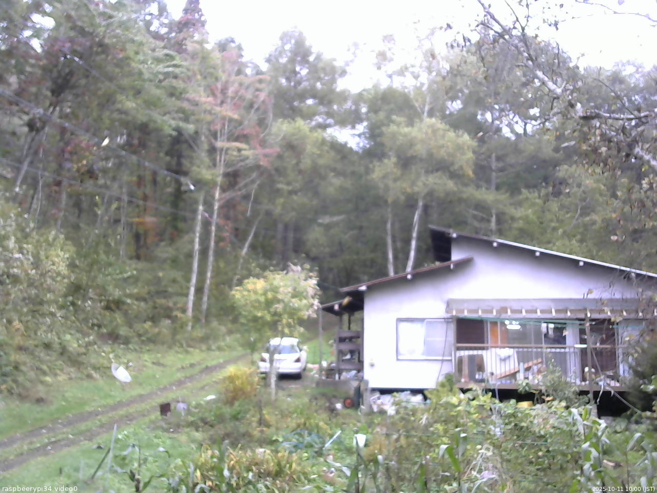 長野県菅平高原 ゆたか山荘 西側(坂上) 2025/10/11 10:00