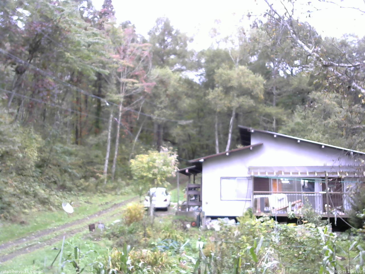 長野県菅平高原 ゆたか山荘 西側(坂上) 2025/10/11 11:45
