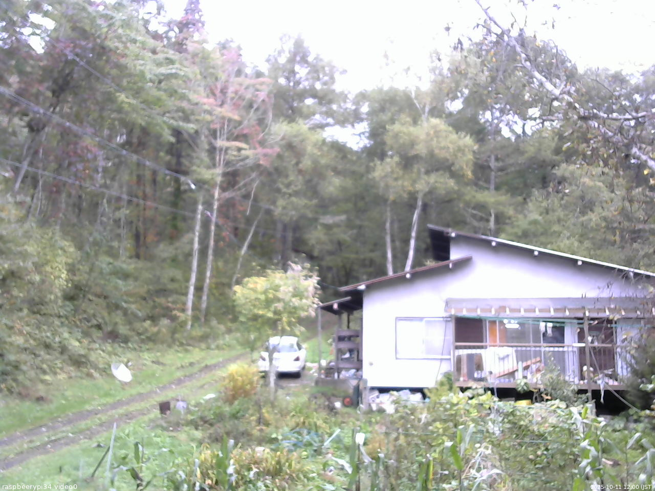 長野県菅平高原 ゆたか山荘 西側(坂上) 2025/10/11 12:00