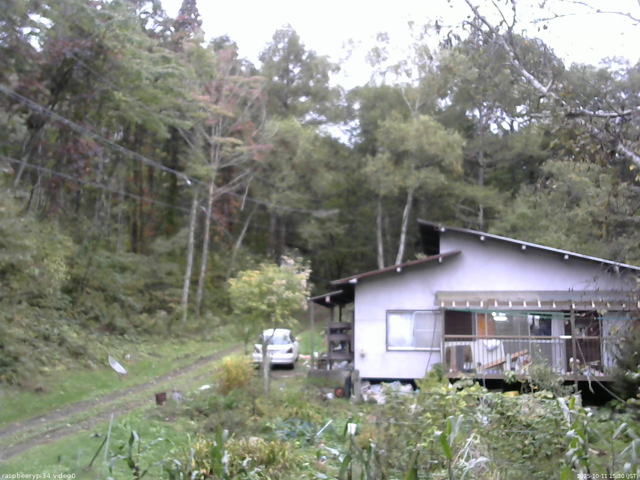 長野県菅平高原 ゆたか山荘 西側(坂上) 2025/10/11 15:30