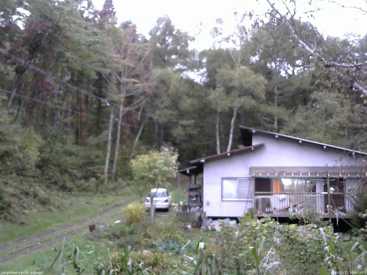 長野県菅平高原 ゆたか山荘 西側(坂上) 2025/10/11 16:45