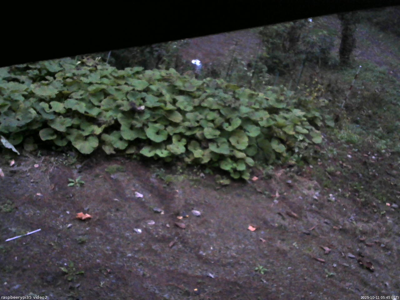 長野県菅平高原 ゆたか山荘 駐車場 2025/10/11 05:45