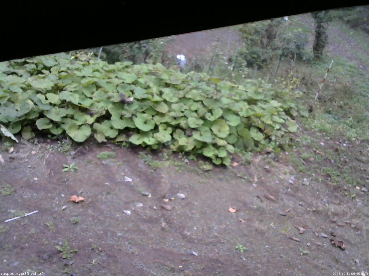 長野県菅平高原 ゆたか山荘 駐車場 2025/10/11 06:45
