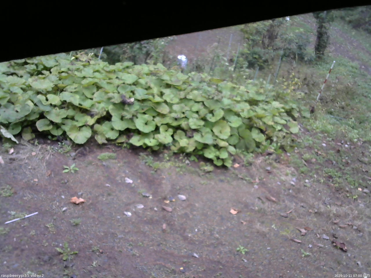 長野県菅平高原 ゆたか山荘 駐車場 2025/10/11 07:00