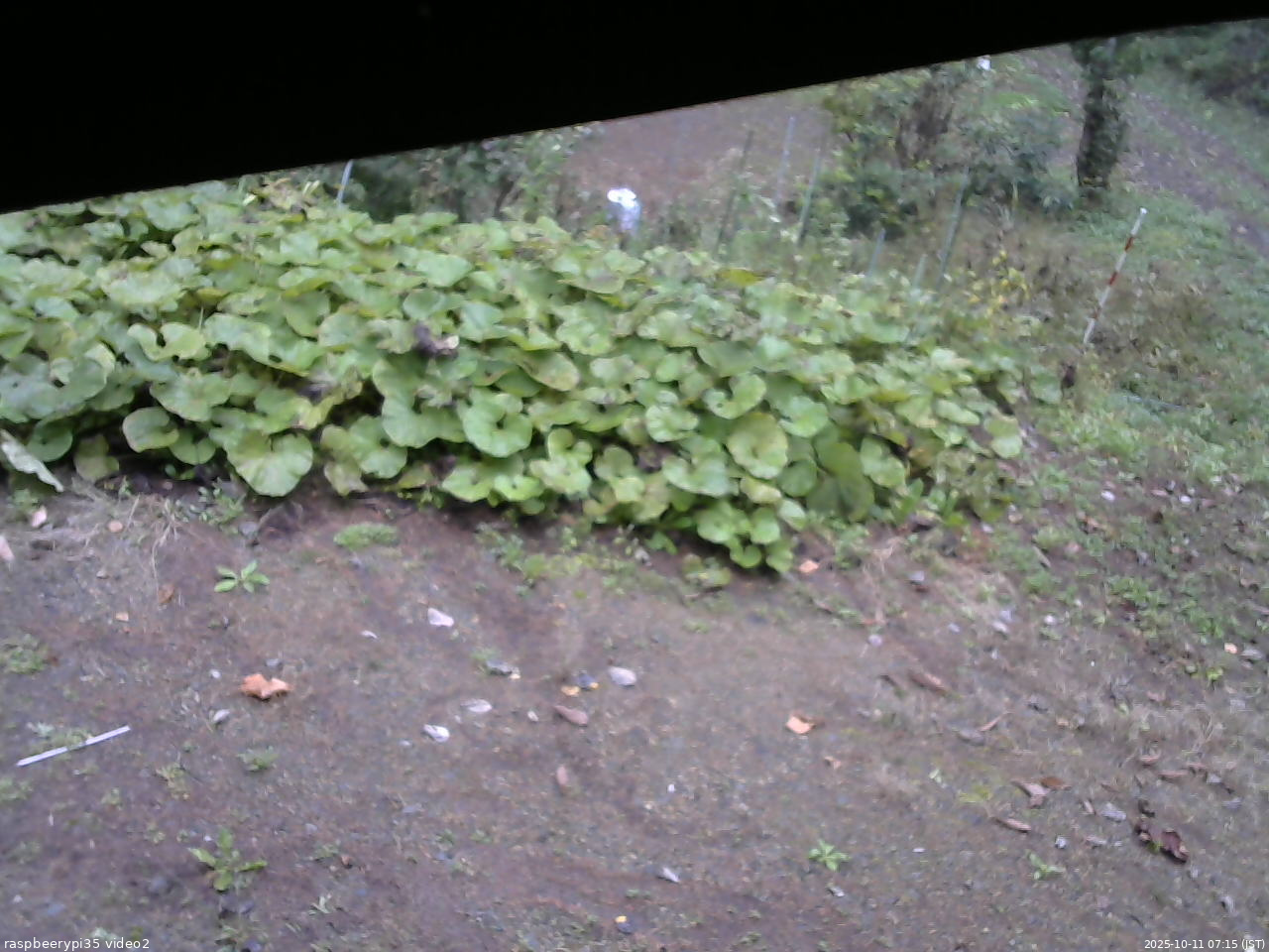 長野県菅平高原 ゆたか山荘 駐車場 2025/10/11 07:15