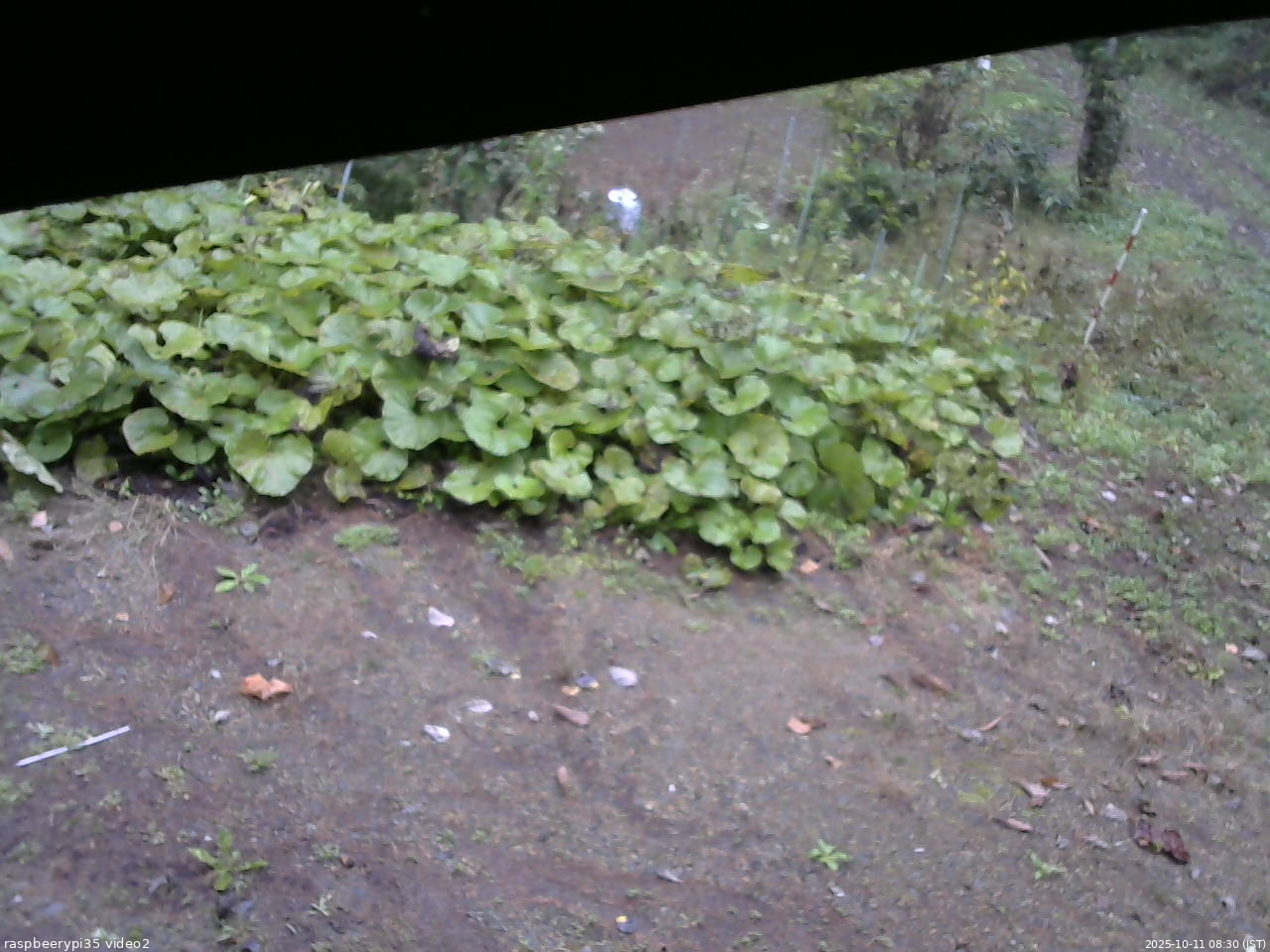 長野県菅平高原 ゆたか山荘 駐車場 2025/10/11 08:30
