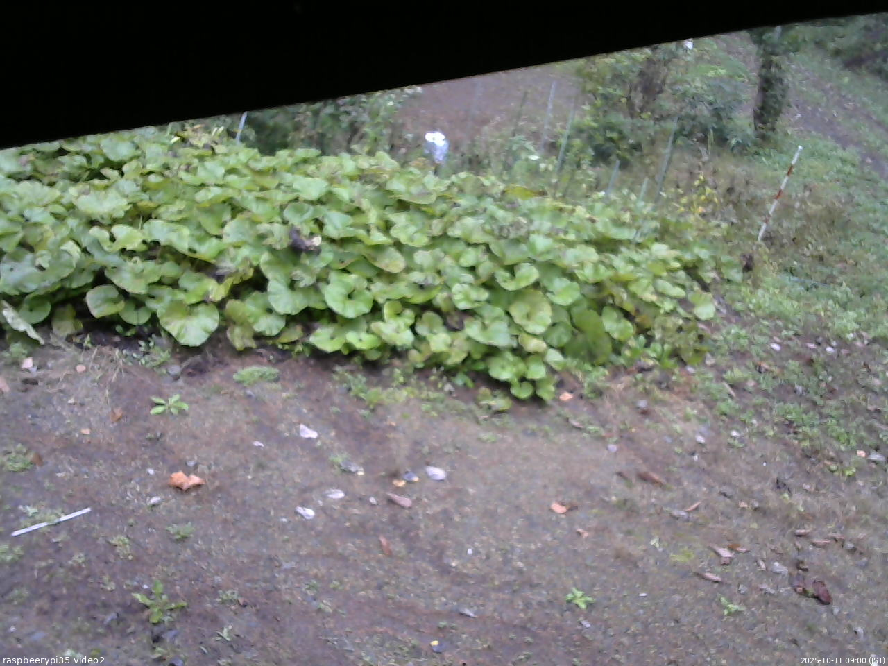 長野県菅平高原 ゆたか山荘 駐車場 2025/10/11 09:00