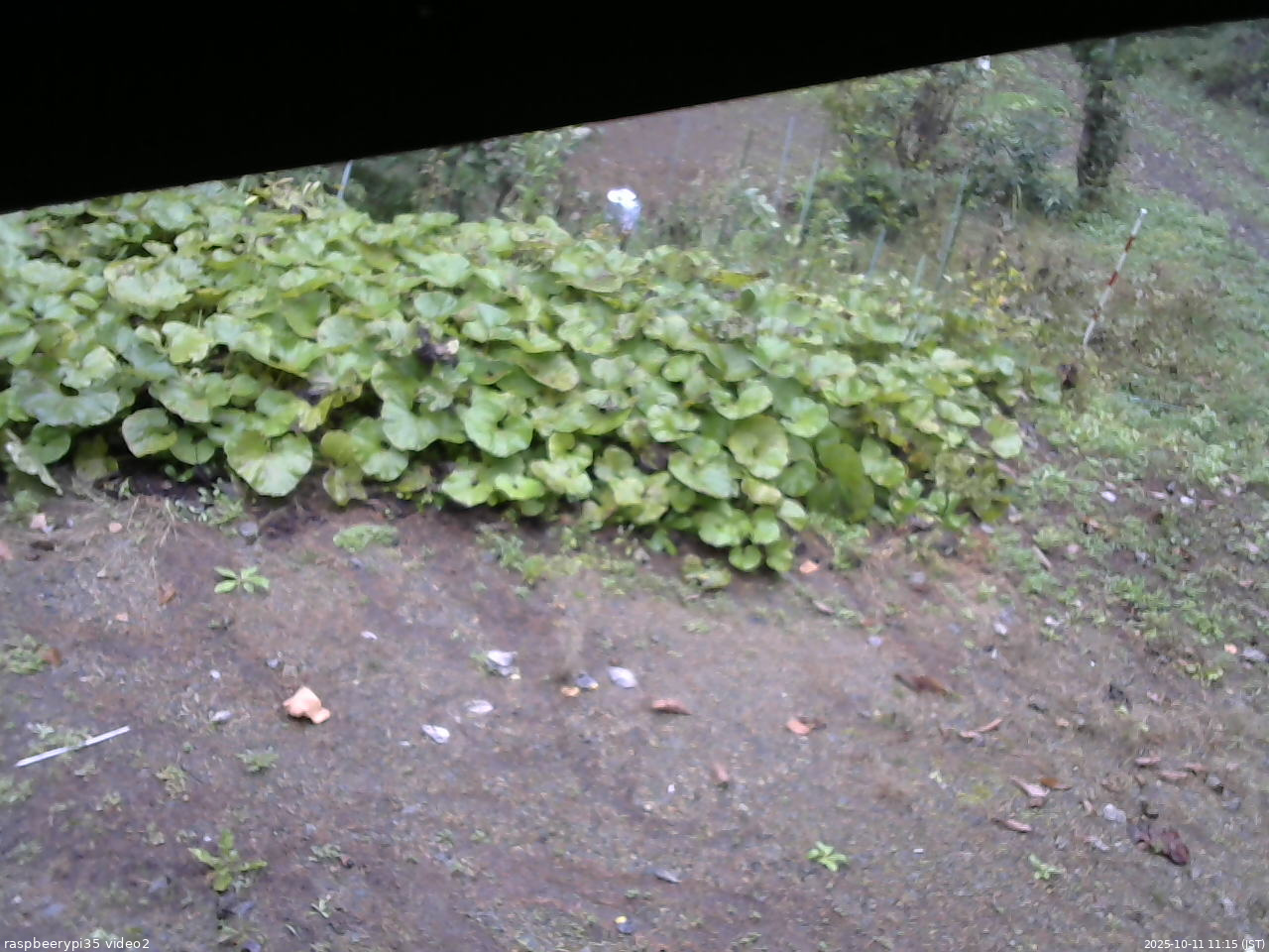 長野県菅平高原 ゆたか山荘 駐車場 2025/10/11 11:15