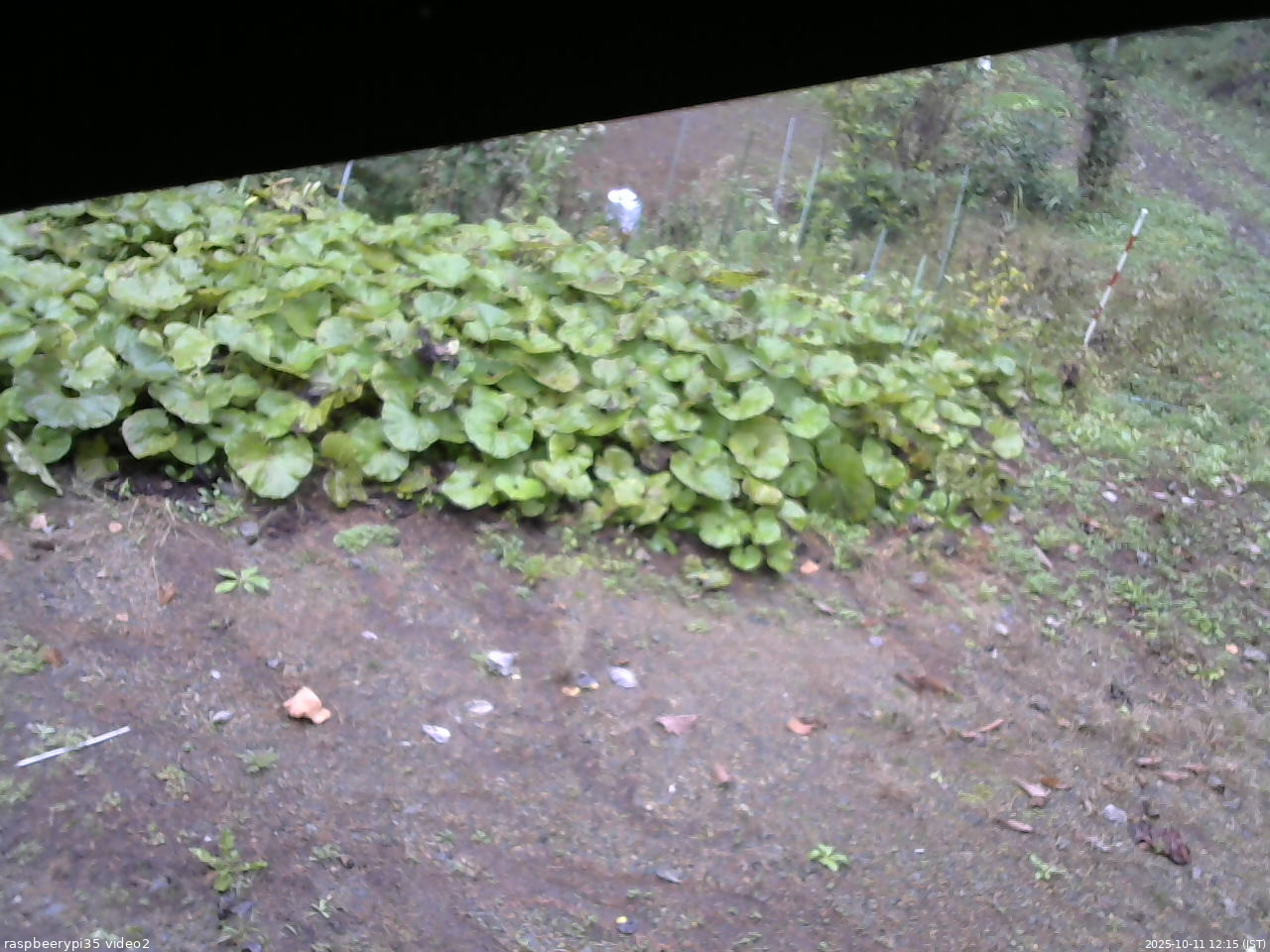 長野県菅平高原 ゆたか山荘 駐車場 2025/10/11 12:15