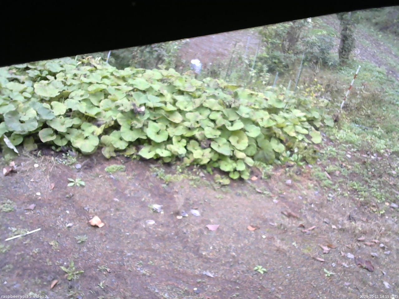 長野県菅平高原 ゆたか山荘 駐車場 2025/10/11 14:15