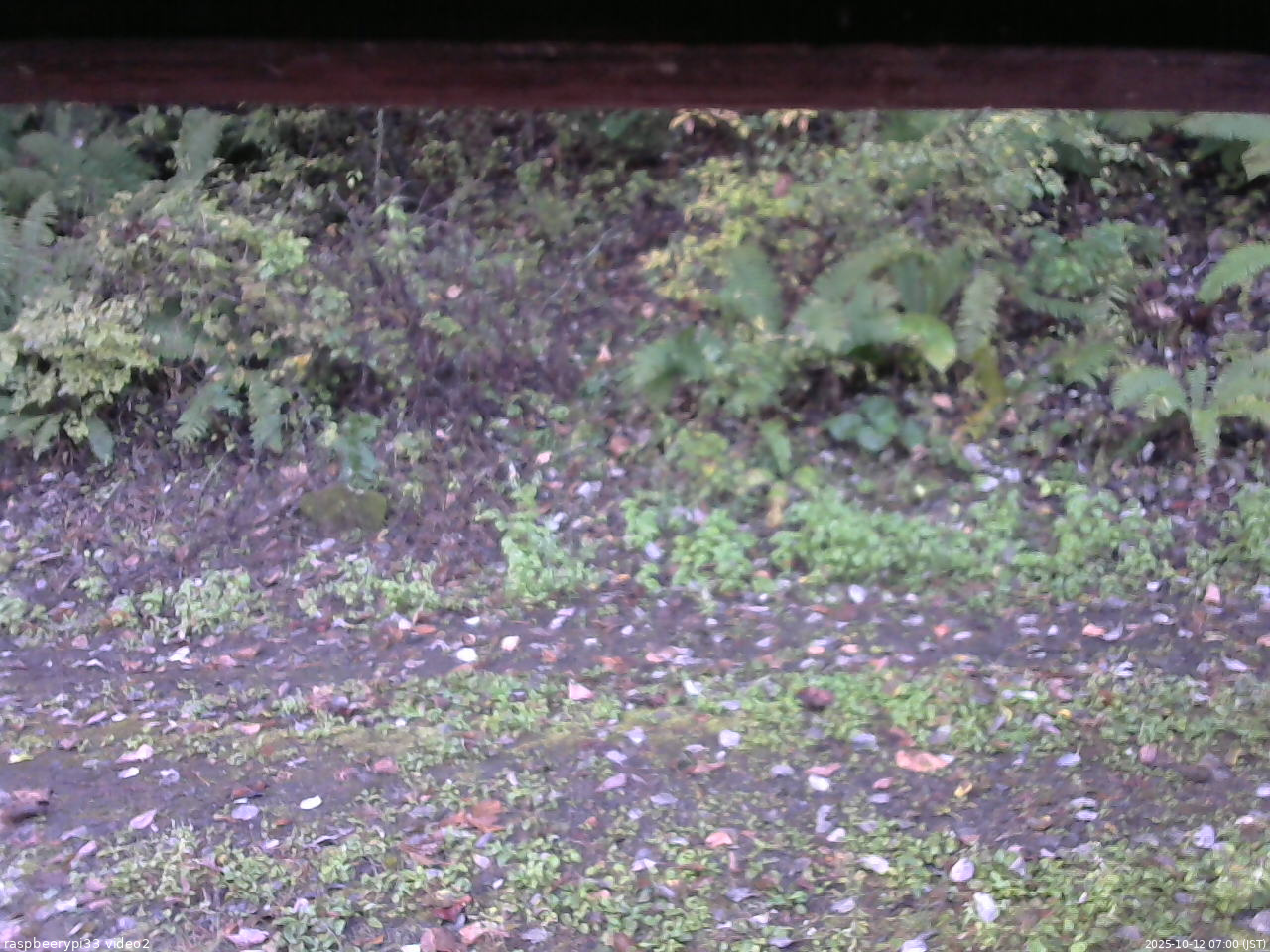 長野県菅平高原 ゆたか山荘 南側 2025/10/12 07:00