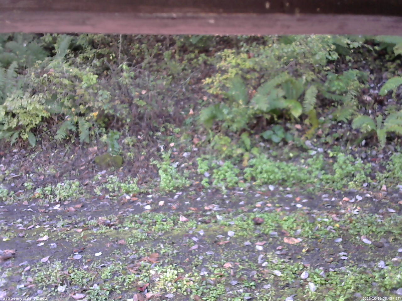 長野県菅平高原 ゆたか山荘 南側 2025/10/12 08:45