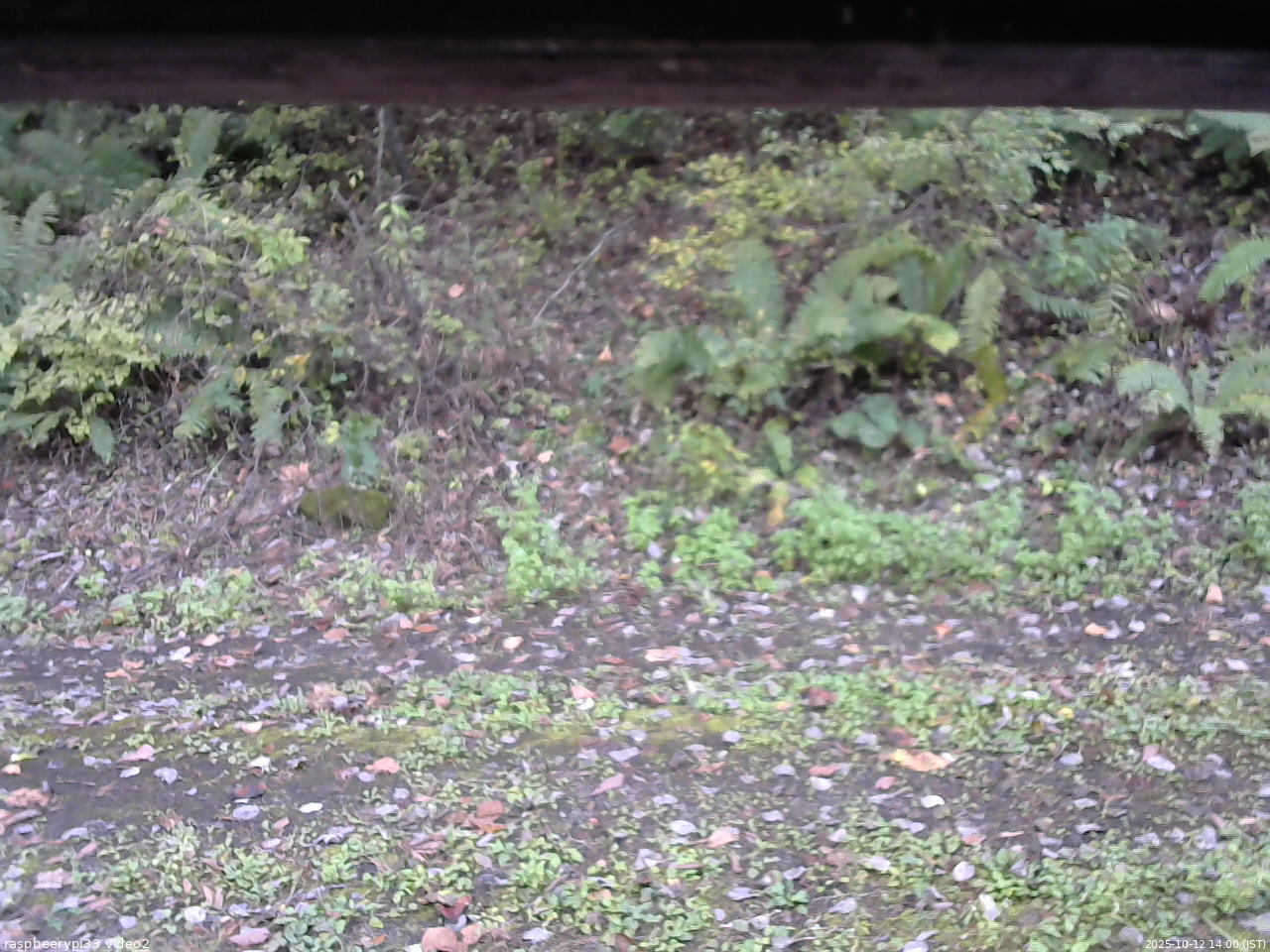 長野県菅平高原 ゆたか山荘 南側 2025/10/12 14:00