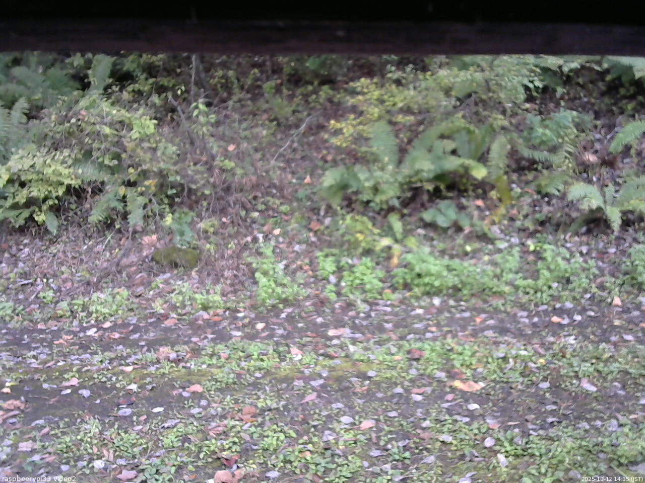 長野県菅平高原 ゆたか山荘 南側 2025/10/12 14:15