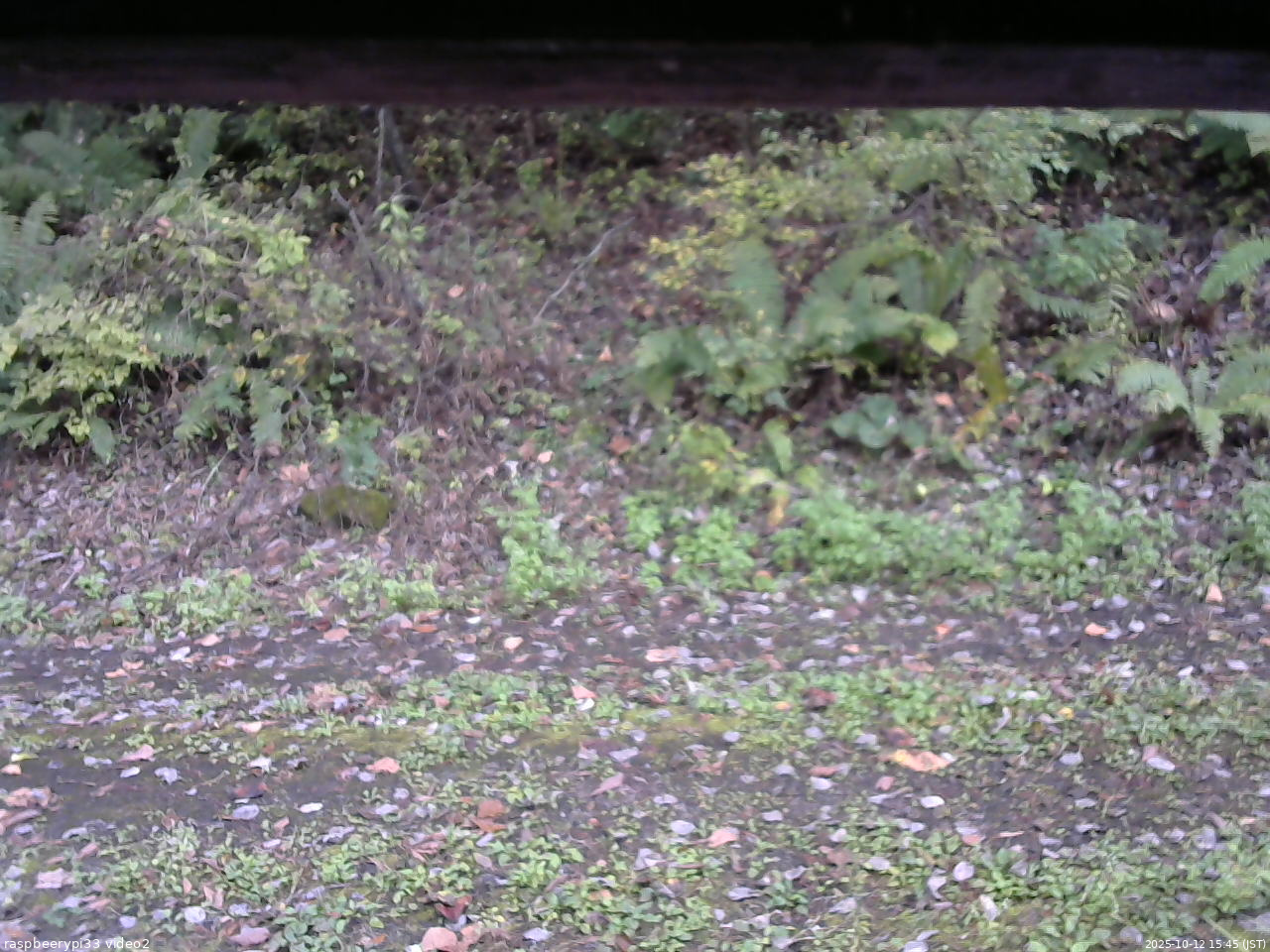 長野県菅平高原 ゆたか山荘 南側 2025/10/12 15:45