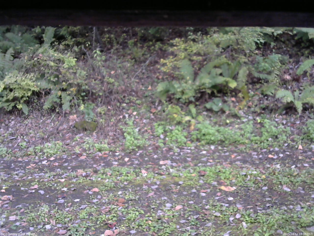 長野県菅平高原 ゆたか山荘 南側 2025/10/12 16:30