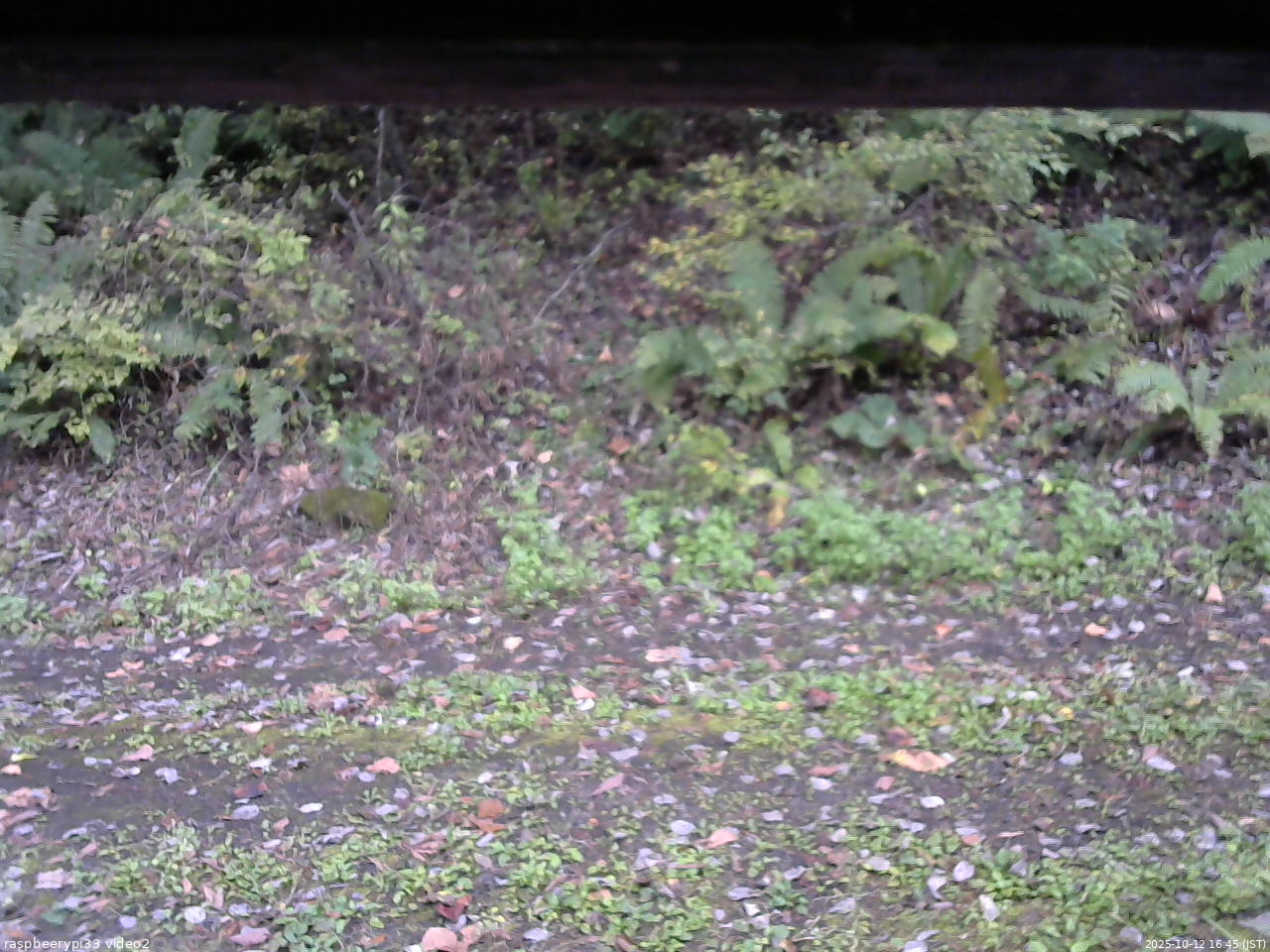 長野県菅平高原 ゆたか山荘 南側 2025/10/12 16:45