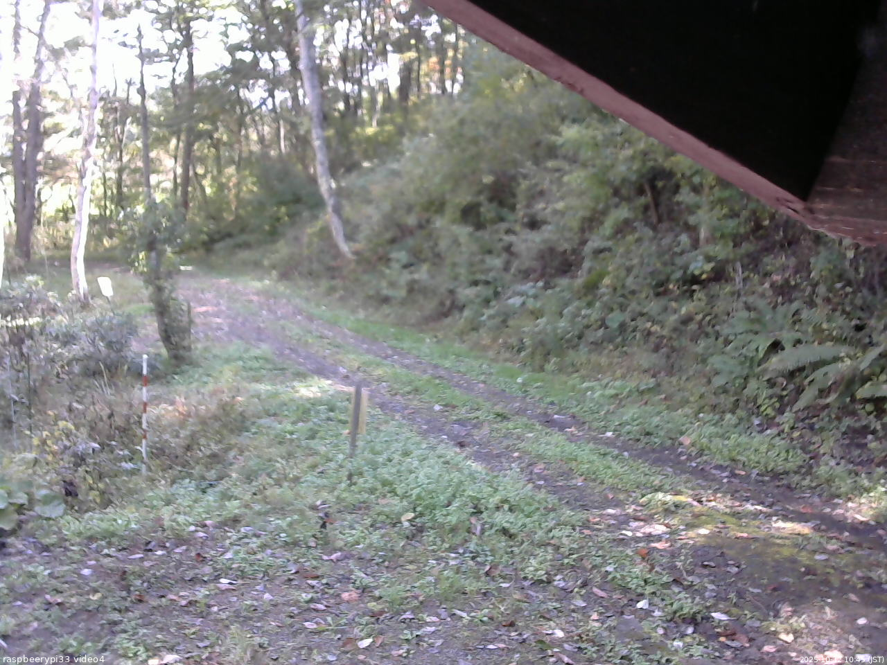 長野県菅平高原 ゆたか山荘 東側(坂下) 2025/10/12 10:45