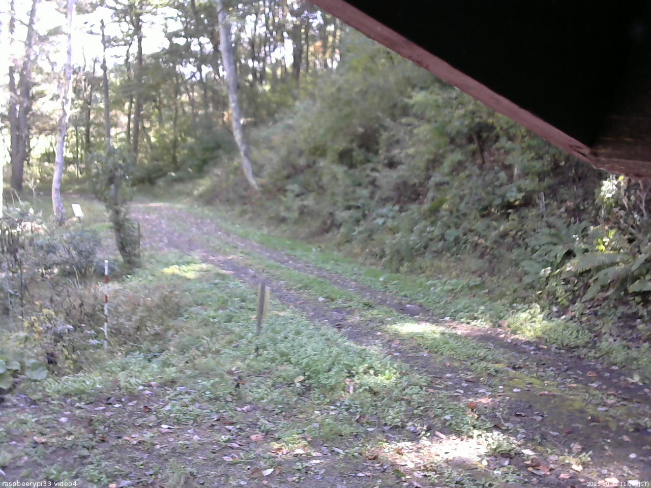 長野県菅平高原 ゆたか山荘 東側(坂下) 2025/10/12 11:00