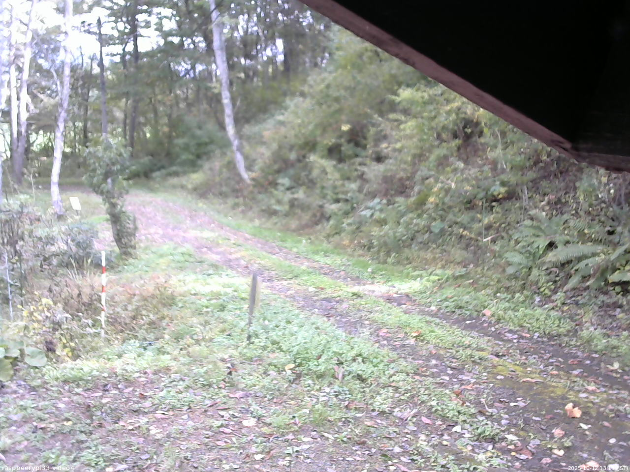 長野県菅平高原 ゆたか山荘 東側(坂下) 2025/10/12 13:15