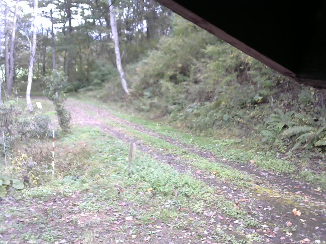 長野県菅平高原 ゆたか山荘 東側(坂下) 2025/10/12 13:30