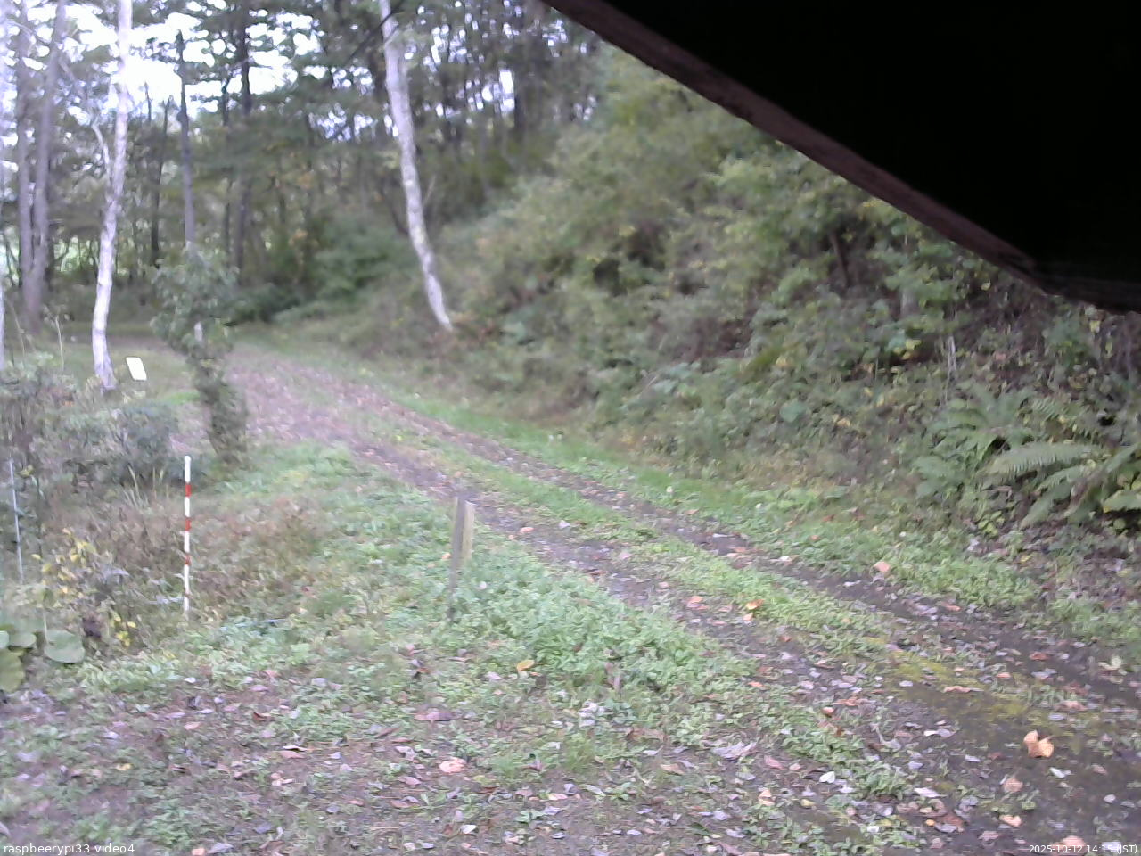 長野県菅平高原 ゆたか山荘 東側(坂下) 2025/10/12 14:15