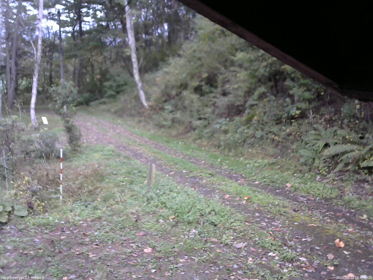 長野県菅平高原 ゆたか山荘 東側(坂下) 2025/10/12 16:45